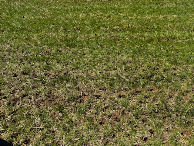 Field Condition Examples Sports Field Construction & Turf Management in Maryland | MADBAR Outdoors